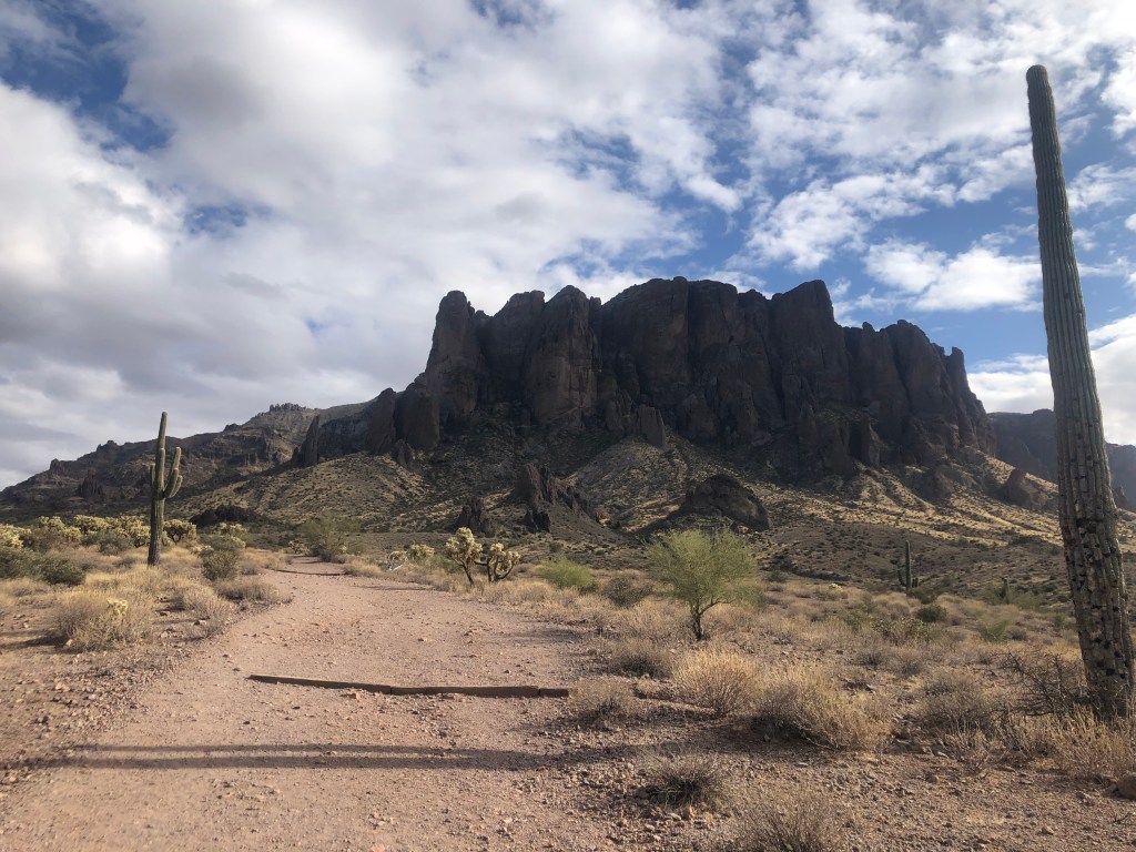 Back to the Blog in&nbsp;2025